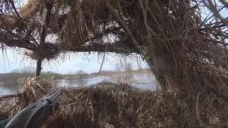 Hunting with decoys or Beaver Island.