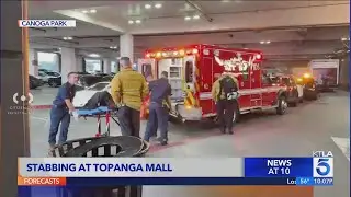 Stabbing at Topanga Mall