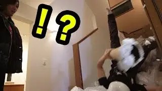 【衝撃】帰宅した瞬間にパイ投げカンタが３階からこぼれ落ちてくるドッキリ