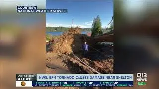EF-1 tornado causes damage in Shelton, Washington