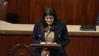 Haley Stevens Floor Speech 12.16.25