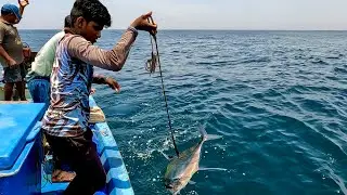 Catching Diamond Trevally, Rainbow Runner & King Fish in the Deep Sea