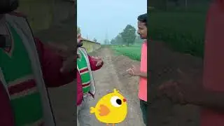 40 Din Ka Poultry Farm Business🐔💰 #indianfarmer #shorts