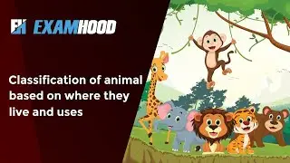 Classification of animals based on where they live and uses