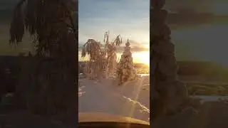 most stunning scenic route on this planet!! #sweden #winter