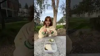 Что я взяла с собой на школьный обед за неделю