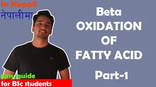 Beta Oxidation of Fatty Acid | Part-1 | Nepali Explanation