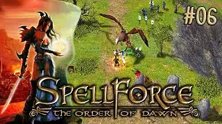 SpellForce: The Order of Dawn (PC) / Review & Let's Play - Teil 6.