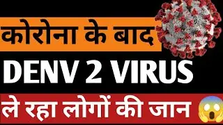 DENV-2, घातक डेंगू संस्करण क्या है जो तेजी से फैल रहा है? #shorts #ytshorts #video #youtube #virus