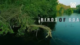 Birds Of Goa a wonderful short film by Forest Department Of Goa.