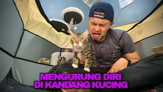 BERTAHAN MENGURUNG DIRI DI KANDANG KUCING SEMPIT BERSAMA KUCING RUSUH !!