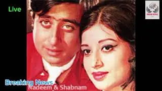 Pakistani Film &ldquo;Bandish&rdquo; &mdash; Detailed Description