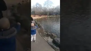 A happy Sunny Day in the park , England
