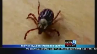 Tick Season 2013: How bad will it get?