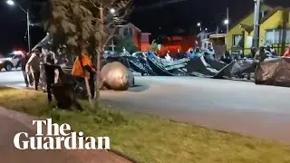 Elephant seal stranded on street returned to ocean with help from residents in Chile