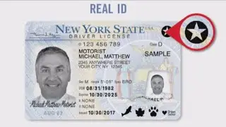 NYS DMV joins state-to-state verification