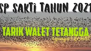 SP walet Terbaik 2021 | penarik walet tetangga I anti zonk