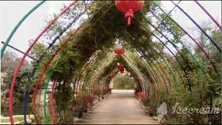 [Review Du Lịch] Công Viên Di Sản Cao Phong Hòa Bình - Du Lịch Hòa Bình