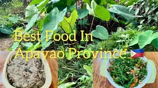 Cooking the Best Food in Apayao Province / mz tez #philippines #countryside #countrysidecooking