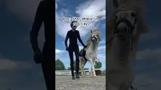 Pov; Star stable in real life! #starstable #sso #videogames #horse #icelandichorse #pony #trending
