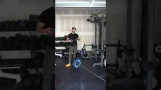 Landmine reverse lunge
