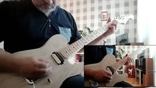 tulip tree wood tele demo