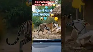 Tiger Attacks Cow 🐄😱#OMG on village #mobilelegends #ai #wildtv #animals #shorts #viral#backyard#lion
