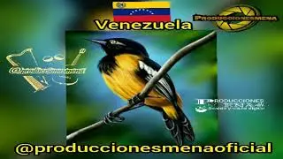 Produccionesmena/Julito Gonz&aacute;lez /instrumental