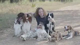 Born to Love  - Ashes & Arrows (lyrics)