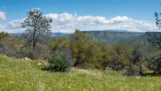 Pincushion Mountain Photo Spot