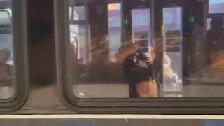 MTA LFSA 1221 on the Bx39