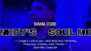 💿 Soul Monkey&rsquo;s - Empiricista 💿