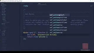 Learn about Laravel's Custom Error Pages