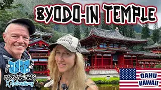 Discovering Oahu's Byodo-In Temple: Majestic Peacock, Sacred Bell & Koi Pond Serenity 🏯🌺  #hawaii