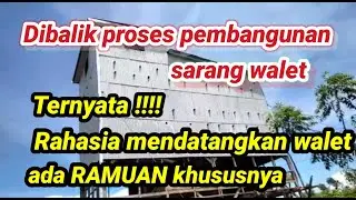Rahasia di balik suksesnya usaha sarang burung walet