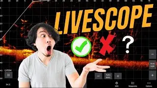 Как добиться успеха на рыбалке: Livescope против отсутствия Livescope
