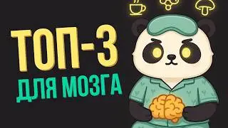 Топ-3 Натуральных НООТРОПА Для Мозга | Фокус, Энергия, Концентрация