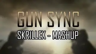 AMAZING DUBSTEP GUN SYNC - Skrillex Mashup [COD BO2]