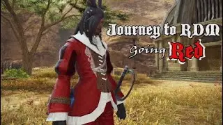 Journey to RMD - Going RED!