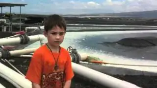 Natural Energy Lab of Hawaii Authority
