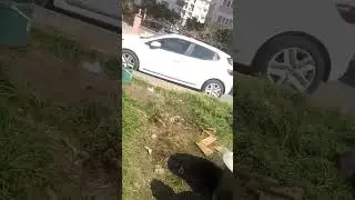 seyyar kalaycı lar