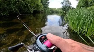 BFS Fishing for WILD Brown Trout 🎣