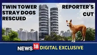Twin Tower Noida Demolition |Twin Towers Demolition | Noida News | English News | Stray Dogs |News18