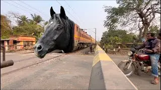 Dangerous Indian horse￼ Train Junglee Pur Mainu passenger express At rail gate seen 