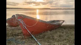 Lakeshore Water Sounds and Relaxing Forest Birdsong   Cozy Sounds
