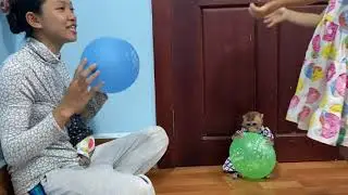 OoPs..!! Qunn jasmine open big mouth yawing at the wall when ball time