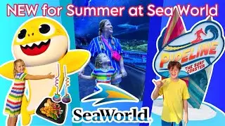 Can’t Miss Summer Fun at SeaWorld • NEW SHOW New Snacks • Animal Encounters #seaworld #babyshark