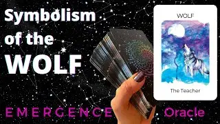 🐺 Spiritual Meaning of Wolf, Symbolism from the E M E R G E N C E Oracle 🐺