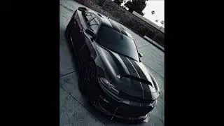 Scat Season