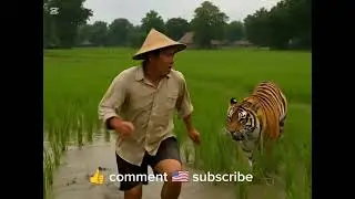 &ldquo;Brave Villagers vs Wild Tiger | Farmer&rsquo;s Narrow Escape&rdquo;